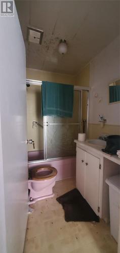 10 Police Road, Burin, NL - Indoor Photo Showing Bathroom