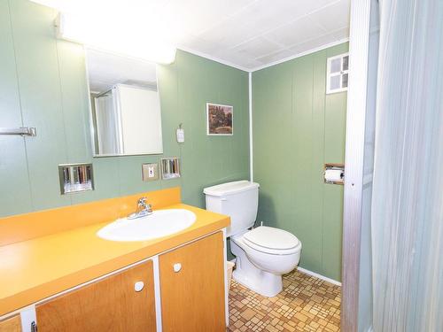 Bathroom - 613 Rue Gagnon, Saint-Pascal, QC - Indoor Photo Showing Bathroom