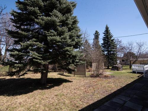 Backyard - 613 Rue Gagnon, Saint-Pascal, QC - Outdoor