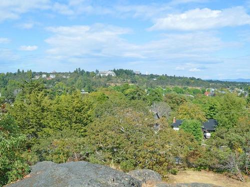 344 Stannard Ave, Victoria, BC - Outdoor With View