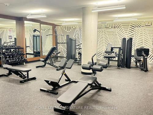2911-5 Defries St, Toronto, ON - Indoor Photo Showing Gym Room