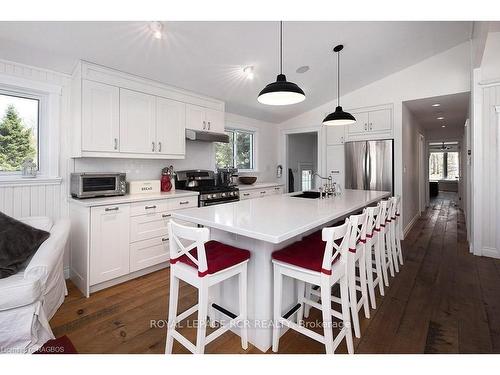 244 Raglan St, Grey Highlands, ON - Indoor Photo Showing Kitchen With Upgraded Kitchen