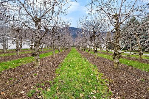 5030 Canyon-Lister Road, Creston, BC - Outdoor With View