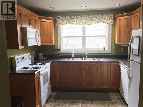 23 Wexford Street, St. John'S, NL - Indoor Photo Showing Kitchen With Double Sink
