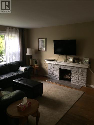23 Wexford Street, St. John'S, NL - Indoor Photo Showing Living Room With Fireplace