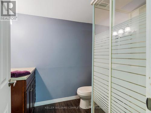 4 Cambria Crt, Hamilton, ON - Indoor Photo Showing Bathroom