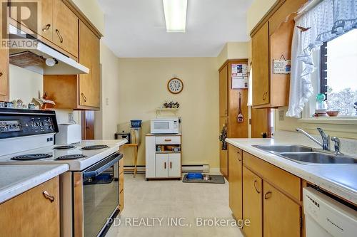 28 Bond St E, Kawartha Lakes, ON - Indoor Photo Showing Kitchen With Double Sink