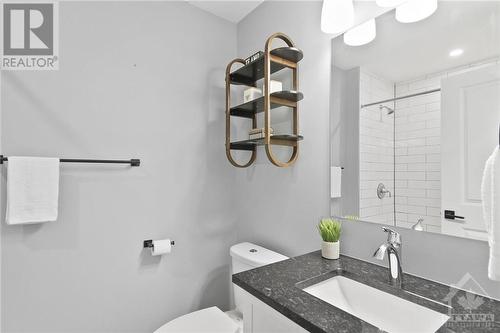 317 Proud Walk Drive, Ottawa, ON - Indoor Photo Showing Bathroom