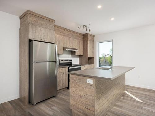 Overall view - 303-330 Mtée Du Comté, Les Coteaux, QC - Indoor Photo Showing Kitchen