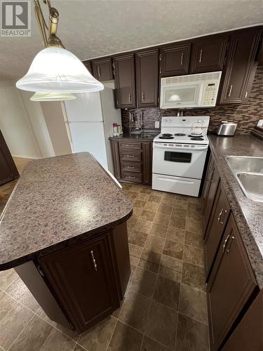 2048 Red Cliff Road, Grand Falls-Windsor, NL - Indoor Photo Showing Kitchen With Double Sink