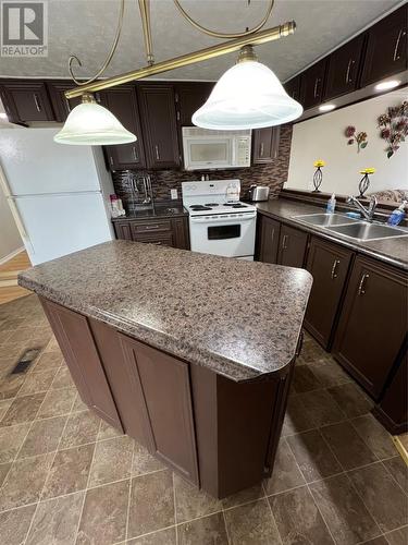 2048 Red Cliff Road, Grand Falls-Windsor, NL - Indoor Photo Showing Kitchen With Double Sink
