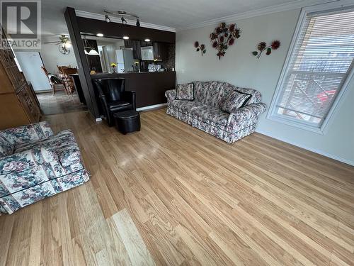 2048 Red Cliff Road, Grand Falls-Windsor, NL - Indoor Photo Showing Living Room
