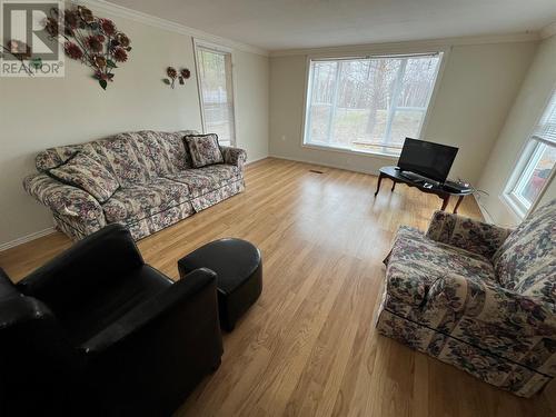 2048 Red Cliff Road, Grand Falls-Windsor, NL - Indoor Photo Showing Living Room