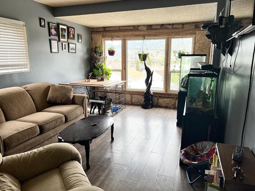 490 Buckna Street, Trail, BC - Indoor Photo Showing Living Room
