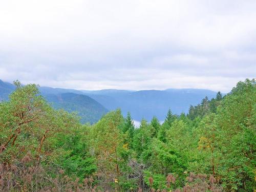 4141 Trans Canada Hwy, Malahat, BC - Outdoor With View