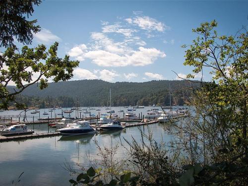 47-1287 Verdier Ave, Central Saanich, BC - Outdoor With Body Of Water With View