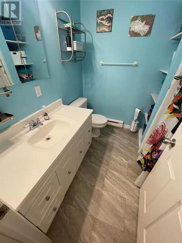 27 Crawley Avenue, Grand Falls Windsor, NL - Indoor Photo Showing Bathroom