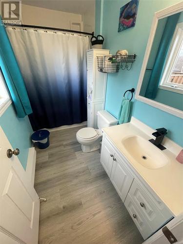 27 Crawley Avenue, Grand Falls Windsor, NL - Indoor Photo Showing Bathroom