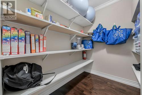 11 Galashiels Place, St. John'S, NL - Indoor With Storage