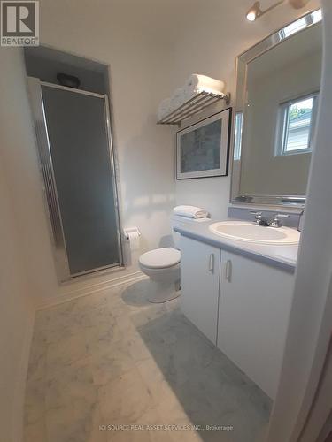 54 Royaledge Way, Hamilton, ON - Indoor Photo Showing Bathroom