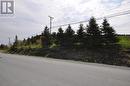 45 Neary'S Pond Road, Portugal Cove, NL 