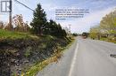 45 Neary'S Pond Road, Portugal Cove, NL 