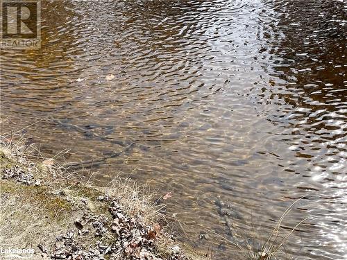 40 Bridgeview Lane, Huntsville, ON - Outdoor With Body Of Water