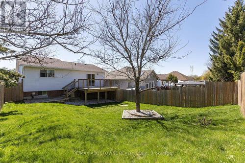 Lower - 146 Bankside Drive, Kitchener, ON - Outdoor With Deck Patio Veranda With Backyard