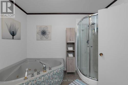 1166 Gill Road, Springwater, ON - Indoor Photo Showing Bathroom