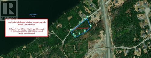 55 Robin'S Pond Hill Road, Torbay, NL 