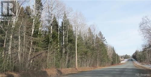 - Route 380, Bell Grove, NB 