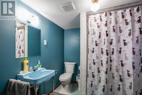 5155 Colbourne Drive, Windsor, ON - Indoor Photo Showing Bathroom