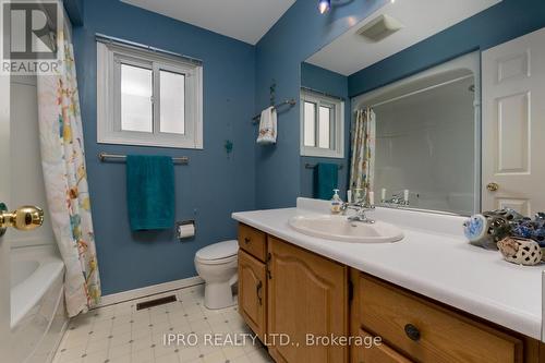 14 Mintwood Crt, Brampton, ON - Indoor Photo Showing Bathroom