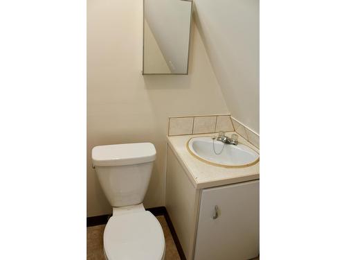 3152 Highway 6, Slocan Park, BC - Indoor Photo Showing Bathroom