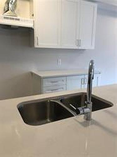 585 Colborne Terrace E|Unit #910, Brantford, ON - Indoor Photo Showing Kitchen With Double Sink
