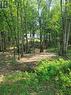 3640 12Th Line Rd, Trent Hills, ON 