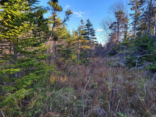 Bona Road, Lower L'Ardoise, NS 