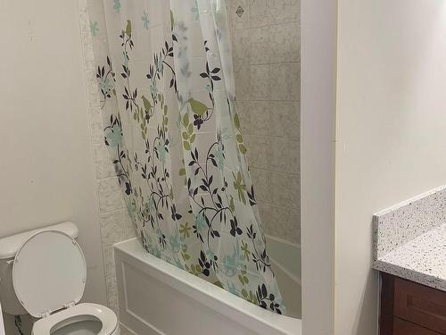 1057 Nadalin Hts, Milton, ON - Indoor Photo Showing Bathroom