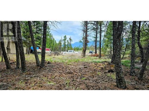 Lot 64 Copper Point Way, Windermere, BC 