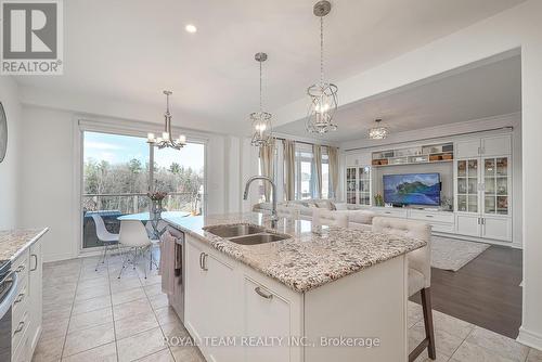 227 Frederick Curran Lane, Newmarket, ON - Indoor Photo Showing Kitchen With Double Sink With Upgraded Kitchen