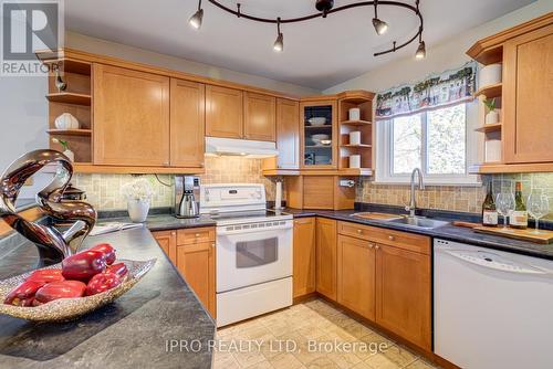 16 Jerome Cres, Brampton, ON - Indoor Photo Showing Kitchen With Double Sink