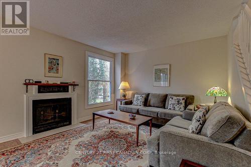 49 Aldersbrook Crescent, London, ON - Indoor Photo Showing Living Room With Fireplace