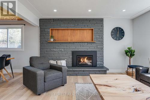 1098 Nashua Ave, London, ON - Indoor Photo Showing Living Room With Fireplace