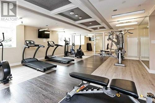 #244 -1575 Lakeshore West Rd, Mississauga, ON - Indoor Photo Showing Gym Room