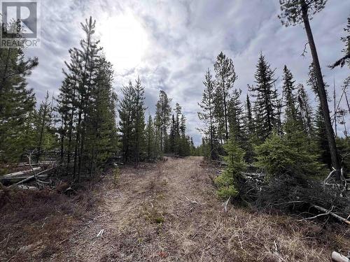 Dl 9921 3800 Forest Service Road, Quesnel, BC 