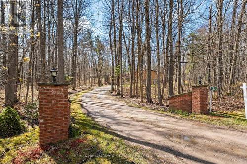 2 Pinewood Trail, Adjala-Tosorontio, ON - Outdoor With View