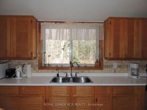 167 Stanley Dr, Grey Highlands, ON - Indoor Photo Showing Kitchen With Double Sink