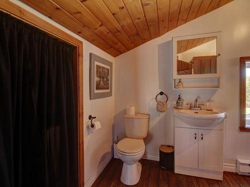Salle d'eau - 56 Ch. Laprise, Weedon, QC - Indoor Photo Showing Bathroom