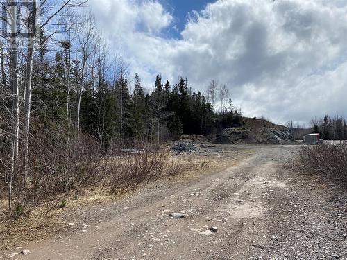 395 B Little Bay Road, Springdale, NL - Outdoor With View