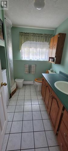 282 Main Street, Lewin'S Cove, NL - Indoor Photo Showing Bathroom